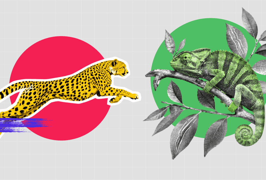 React Native vs Flutter in 2026: a practical comparison