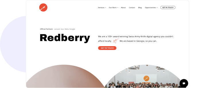 RedBerry Laravel and Vue services